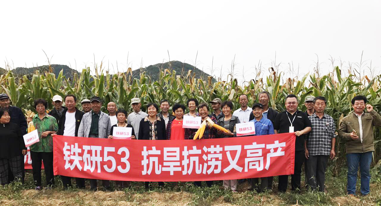 参会人员